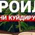 Жаброил А С Нинг Жин Ва Сехрни Куйдирувчи Дуолари