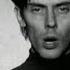 Peter Murphy All Night Long HD