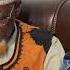 Live Streaming Of Dr Bashir Aliyu Umar OON