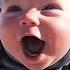 Funniest Baby Videos You Can T Miss Funny Baby Videos