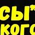 Немцы в советском плену Воспоминания после плена в СССР