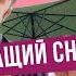 ШУКАЄМО НАЙКРАЩІ СНІДАНКИ В КИЄВІ Сімейний випуск про їжу