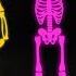 Midnight Magic Five Skeletons Halloween Song Spooky Scary Skeleton Songs Lia Cha Cha Nursery