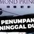 Positif Korona 2 Penumpang Di Kapal Diamond Princess Meninggal