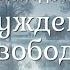 Муджи 07 Просветление Пробуждение к свободе