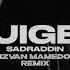 Sadraddin Rizvan Mamedov Uige Remix