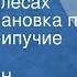 Константин Паустовский Повесть о лесах Радиопостановка по главе Скрипучие половицы