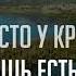 Николай Пастухов и Елизавета Савенок МЕСТО У КРЕСТА Песня с титрами