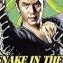 Multi Sub Snake In The Eagle S Shadow Full Action Movie Unbeatable Snake Fist Kung Fu