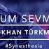 Seviyorum Sevmiyorum Personal Jesus Official Concert Video Gökhan Türkmen Synesthesia