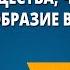 Тела вещества частицы Разнообразие веществ