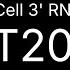 Illumina Single Cell 3 RNA Prep T20 Workflow