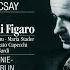 Mozart Le Nozze Di Figaro K 492 Act 3 Eccovi O Caro Amico