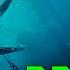 Breathe Full Movie Adventure Thriller Tim Abell Shark Attack