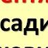 20 сентября посадите луковицу в стакан с водой Заговор на деньги и удачу в доме