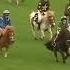 Shetland Pony Racing Doncaster Thriller