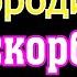 Молитва Иконе Богородицы Всех скорбящих Радость Божья Мать поможет в нужде и болезни Аминь