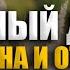 Шум дождя 5 ЧАСОВ для разгрузки успокоение Звуки дождя для сна