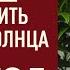 КАК НАПОЛНИТЬ 2025 ГОД ЭНЕРГИЕЙ СОЛНЦА 1 ЯНВАРЯ