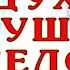 Христианин верующий человек Дух душа и тело 1ч Истина спасение учение крест Христов пастор Бог