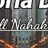 Historia Domin Cover All Nahak Video Lirik