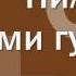 Путешествие Нильса с дикими гусями 1 аудиосказка онлайн слушать