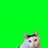 Huh Cat Green Screen Background Huh 캣 크로마키 배경 Huhcat Greenscreen 허캣 크로마키 밈 Meme 떡상기원