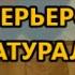 Кормление той терьеров натуралка