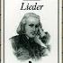 Brahms Lieder Und Gesänge Op 63 5 Junge Lieder I Meine Liebe Ist Grün Wie Der Fliederbusch