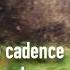 Don T Change The Cadence By Changing The Cadence When Running