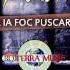 Copilul De Aur Sa Ia Foc Puscaria Oficial Track HIT