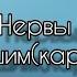 караоке Нервы Нарушим инструментал минус нервы мильковский