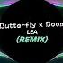 抖音 Butterfly X Boom Remix LEA Tiktok Music 抖音热门音乐 潮曲 Tiktok Popular Music