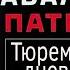 ТД ч 5 Алексей Навальный Патриот 2024 г аудиокнига читает Дмитрий Оргин