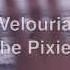 Velouria Pixies