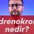 Adrenokrom Nedir Shorts