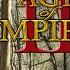 Age Of Empires II Tazer Full Cover