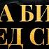 2 часа Библии перед сном под звуки природы Современный перевод Библии Biblevision