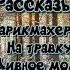 В Я Шишков Сборник 4 рассказы В парикмахерской На травку Дивное море Редактор Чёрный час