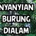 Suara Burung Koak Kaok Dan 4 Jenis Burung Lainnya Saling Berbalasan Semesta Alam Papua