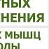 Три секретных упражнения для пожилых людей Мышцы в тонусе до глубокой старости