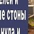 Пришла на кладбище к могиле родителей и услышала странные звуки из кустов Заглянула побледнела