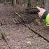 Massive Railroad 1 500 Trestle Deep In The Forest Of Maine 90 Yrs Abandoned