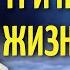 Три периода жизни души Архимандрит Иоанн Крестьянкин