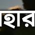 Dishehara Tui দ শ হ র ত ই Lyrics Shuvro