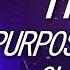 Hot Justin Bieber Purpose Tour Clips For Editing