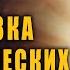 Медитация Свет Целостности Пробуждение Божественного Механизма Развязка Энергетических Узлов