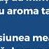 Mario Fresh Renvto Călinacho Pasiunea Mea VERSURI