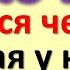 Какого числа от 1 до 31 родился человек такая у него и вся жизнь