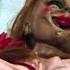 Annabelle 2014 What Do You Want Scene 9 10 Movieclips